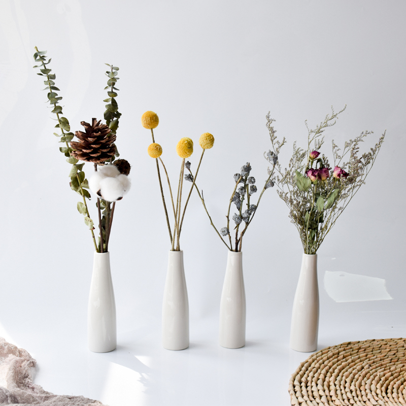 ins北欧小清新永生尤加利干花