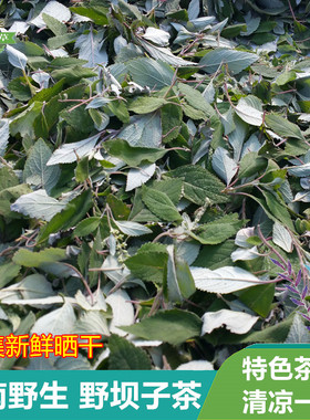 野坝子茶云南野生花草茶药材餐馆待客特色茶野坝子叶农家采摘晒干