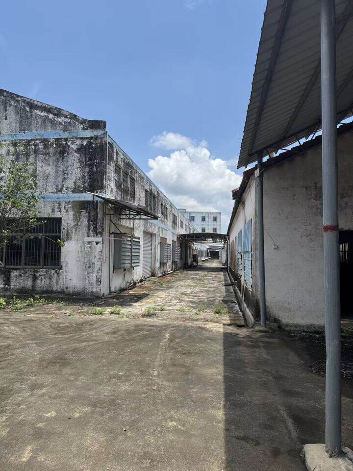 3月15日钦州(公路边)的土地、建（构）筑物及机器设备网络拍卖公告