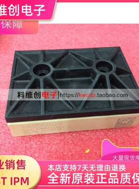SKIIP30NAC12T42 SKIIP30NAC12IT42 原装 品质保证