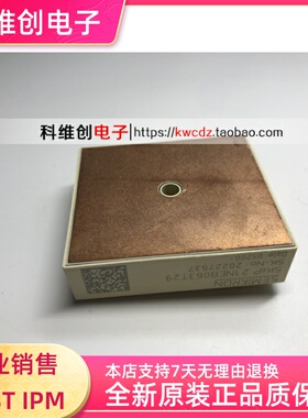 SKIIP21NEB063T29 功率模块 全新原装正品
