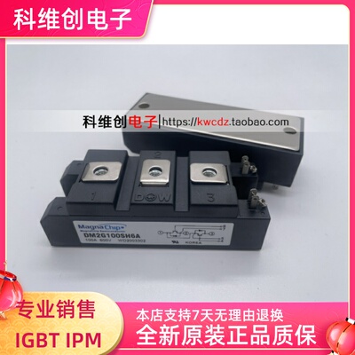 DM2G100SH6ADM2G100SH6N