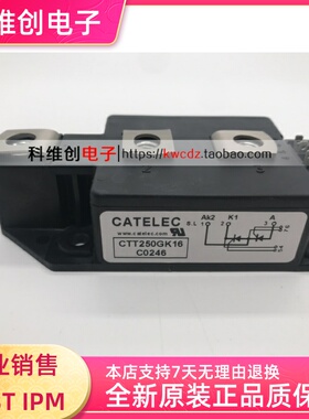 全新 CTT320GK16 CTT320GK12 CTT250GK16 CTT320GK16PT 现货