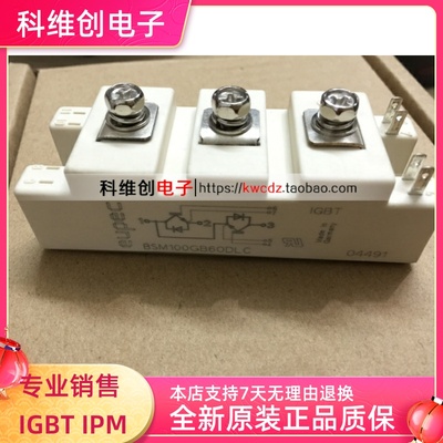 BSM100GB60DLC 功率模块 电源模块