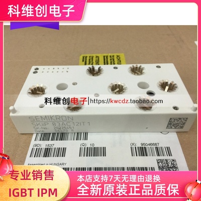 SKIIP83AC12IT1 SKIIP82AC12T1  SKIIP83AC12T1 全新原装 进口正