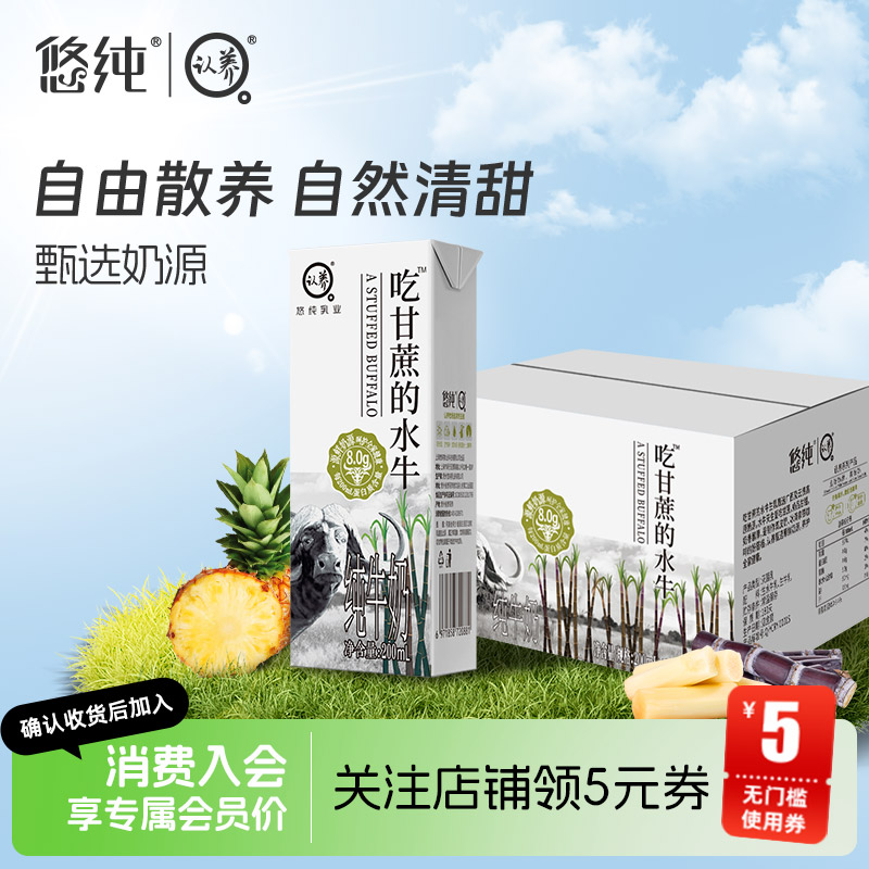 悠纯水牛奶吃甘蔗的水牛