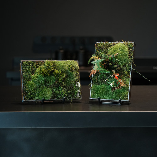 植觉苔藓相框桌面景观摆件
