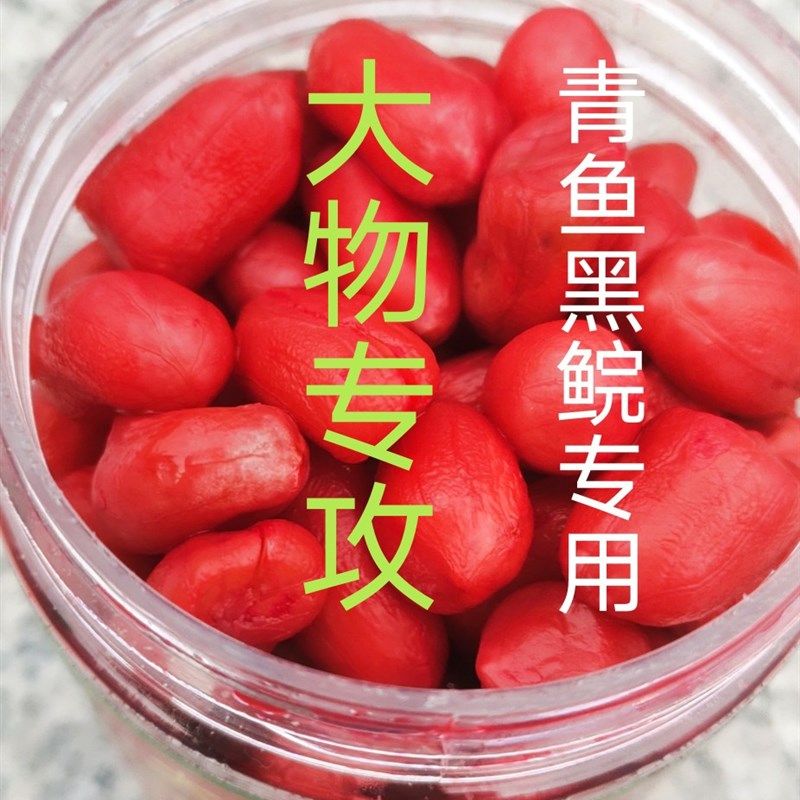 大物青鱼颗粒花生饵料黑鲩鲩鱼钓鱼长杆专用打窝垂钓黑坑野钓包邮,户外/登山/野营/旅行用品,台钓饵,淘宝优惠券,粉丝福利购,淘宝优惠卷