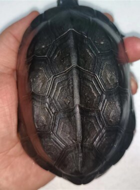 天然完整真墨龟草乌龟壳完整龟板六爻工具文玩手把挂摆件富甲天下