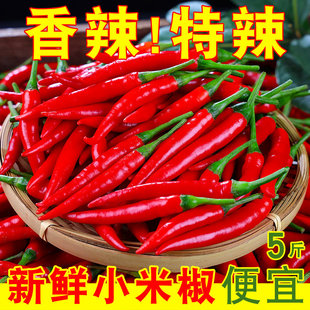 小米辣椒新鲜5斤批发朝天椒特辣泡椒红小尖椒指天椒超辣红辣椒10