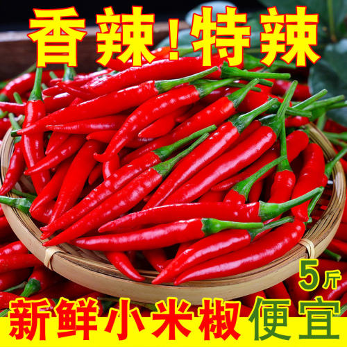 小米辣椒新鲜5斤批发朝天椒特辣泡椒红小尖椒指天椒超辣红辣椒10