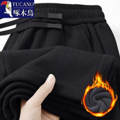 百搭直筒裤 啄木鸟2025秋冬新款 加绒加厚潮流时尚 男士 保暖休闲长裤