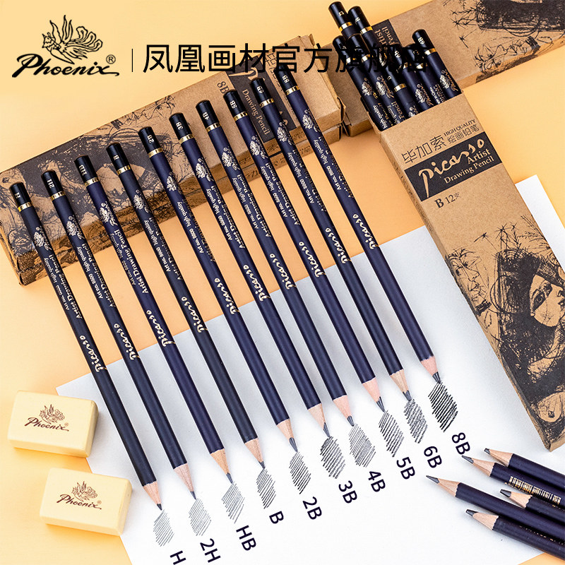 碳精条美术用品学生成人用专业艺考写生静物素描棉柳木炭条毕加索套装