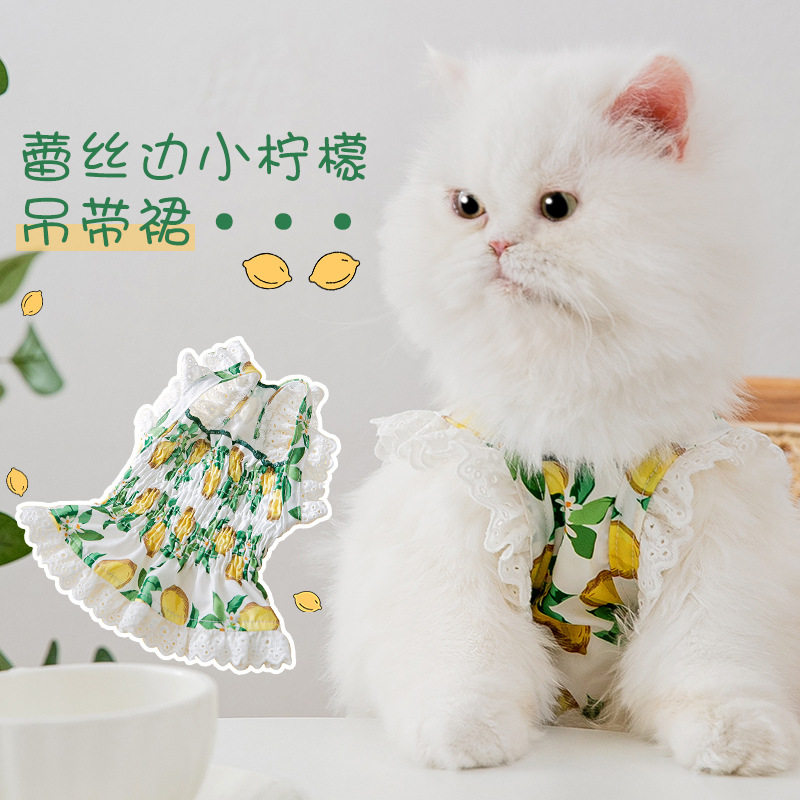 猫咪春夏季清新蕾丝边小柠檬吊带裙绿色甜美狗狗连衣裙宠物狗