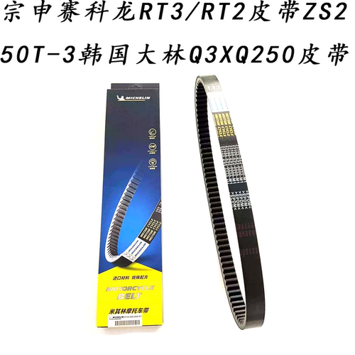 RT3/RT2ZS250T-3大林QXQ250皮带