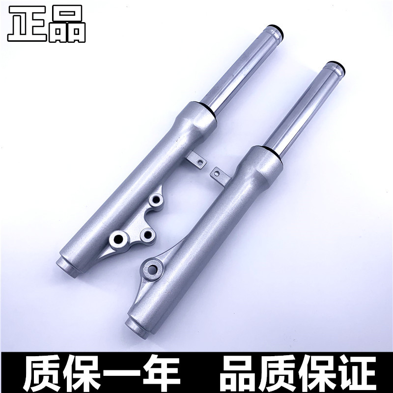 适用铃木丽彩QS125T-2A/2B韵彩QS100T-A/B前减震器前叉前避震器