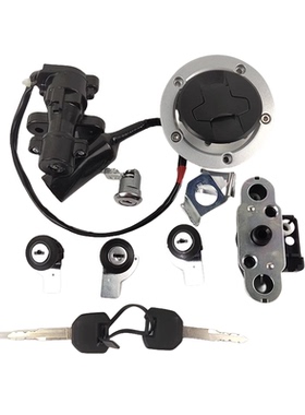 适用DL250 DL250-AGSX250R GSX250R-A芯片钥匙坯套锁电门锁全车锁