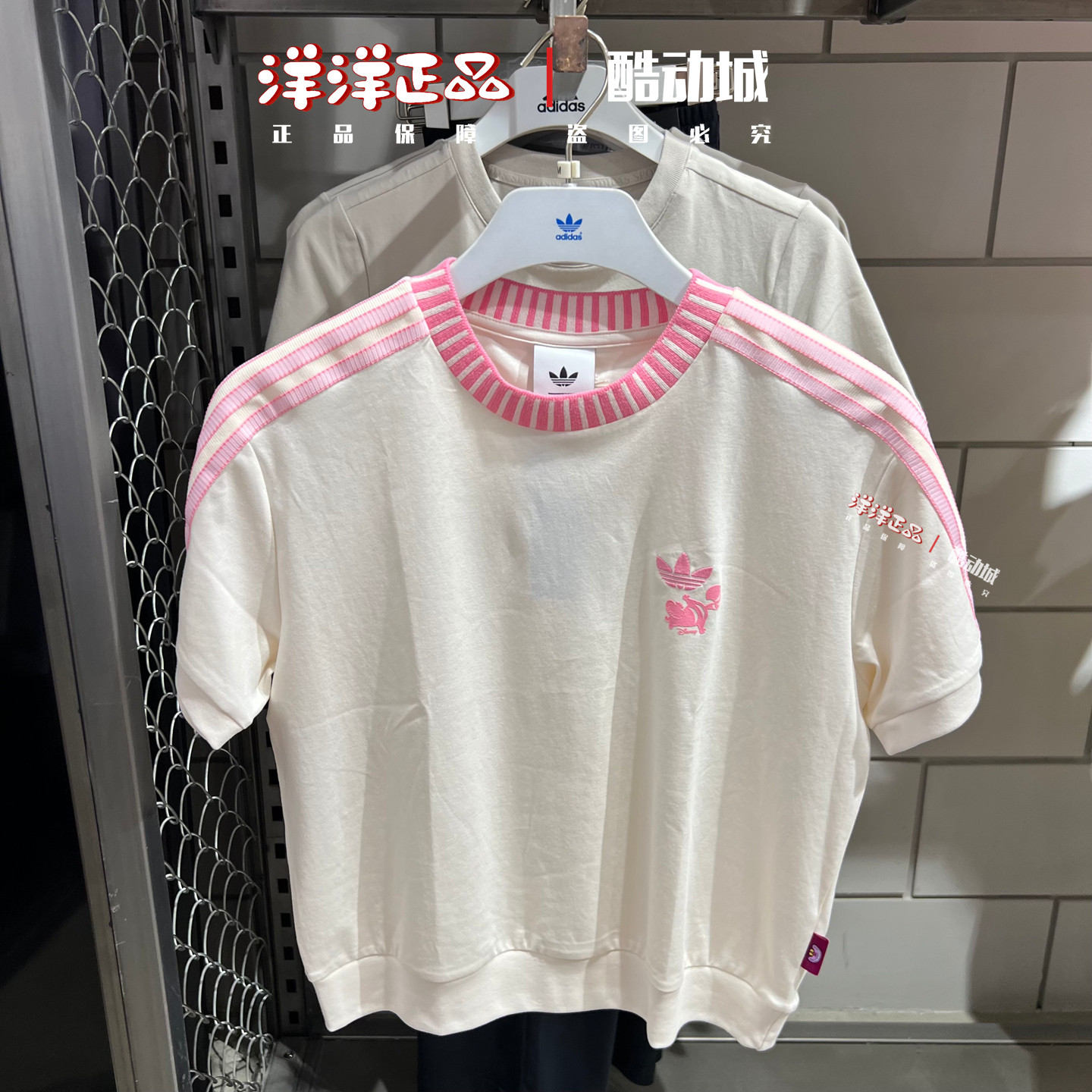 阿迪达斯三叶草26年夏季迪士尼柴郡猫女纯棉短袖T恤KY8315 KY8316