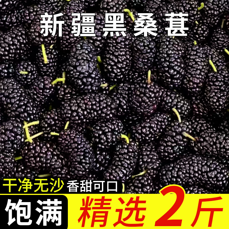 黑桑椹干官方旗舰店泡酒专用