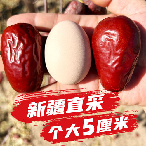 问君新疆和田大枣鸡蛋枣