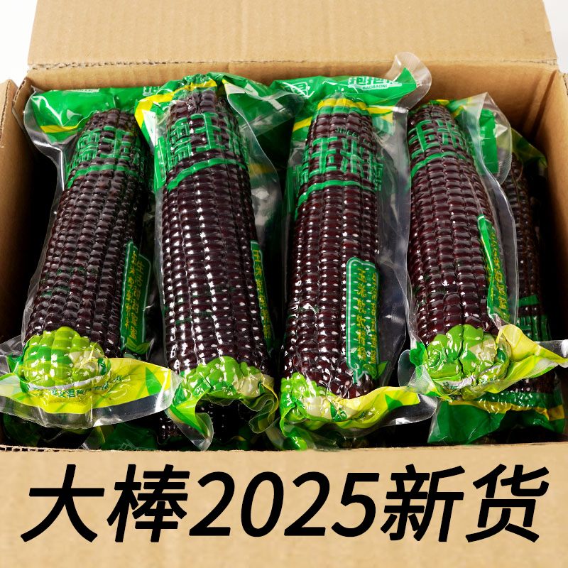 2025新货大棒黑玉米真空包装