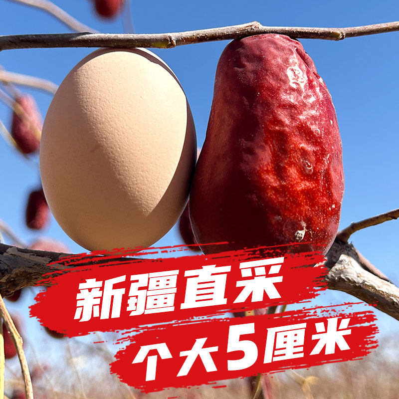 红枣特级新疆特产官方旗舰店和田大枣玉枣免洗礼盒新品新疆和田枣