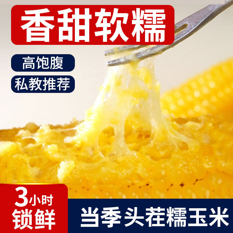 2025新鲜黄玉米早餐糯玉米图片