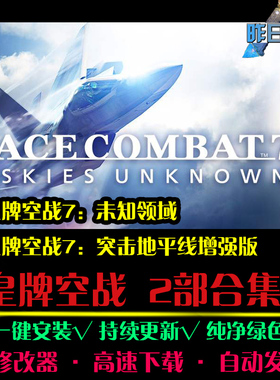 皇牌STG空战7未知领域/突击地平线射击FPS战争PC电脑单机游戏合集