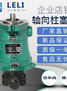 启东乐力牌25YCY141D直插式轴向柱塞泵电机组泵头