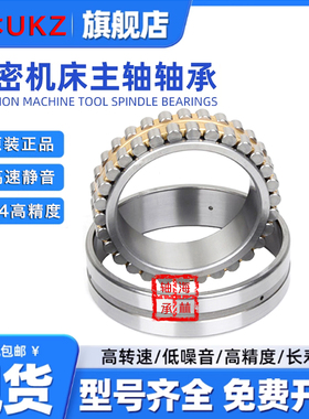 日本进口机床轴承NN3005 3006 3007 3008 3009 3010 K/P5 P4W33