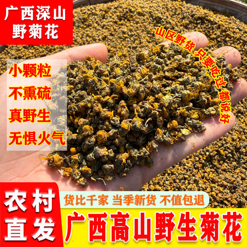 桂林野生无硫头采菊花新货