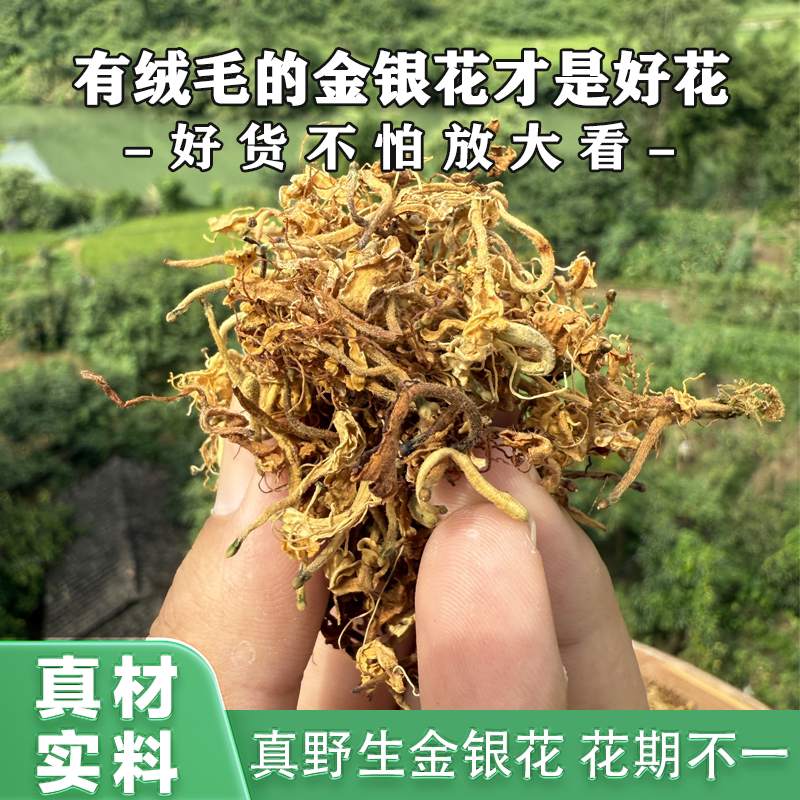 广西野生金银花带绒毛天然无硫产地直发泡茶去火茶叶宝宝洗澡
