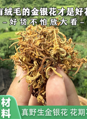 广西野生金银花带绒毛天然无硫