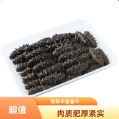 大连野生拉缸盐海参长岛半干海参非即食非干参孕妇级厂家直销特价