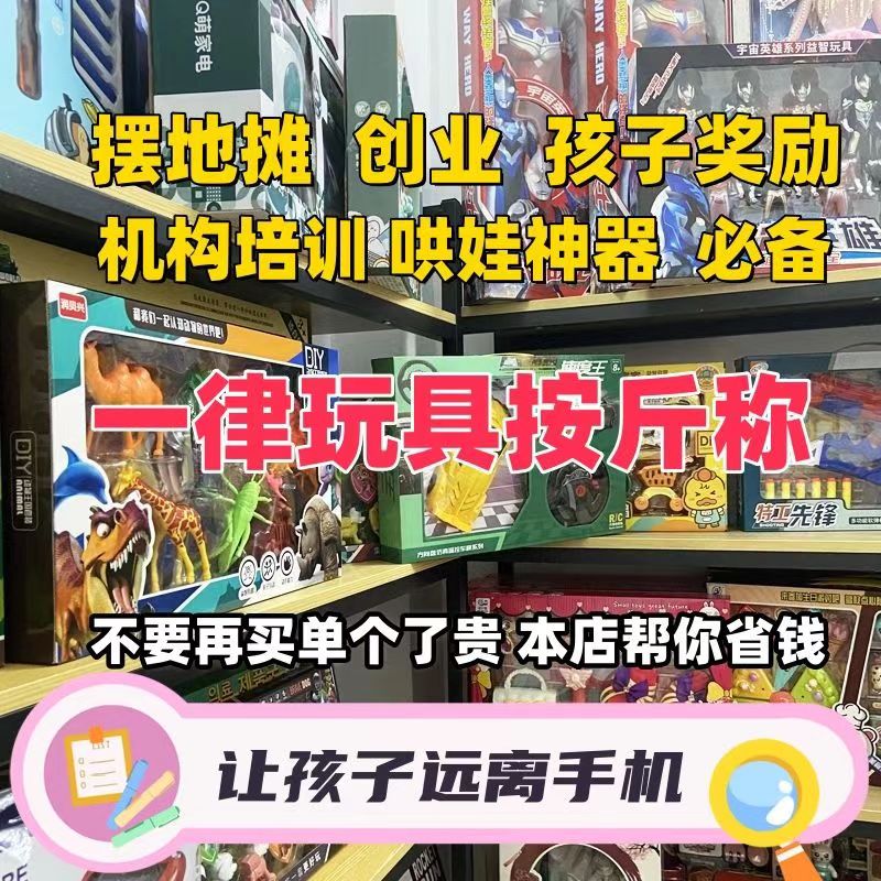 男女玩具遥控车论斤卖摆地摊机构