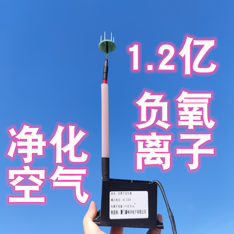 家用小型220V负氧离子发生器小粒径空气净化器除雾霾二手烟氧吧机