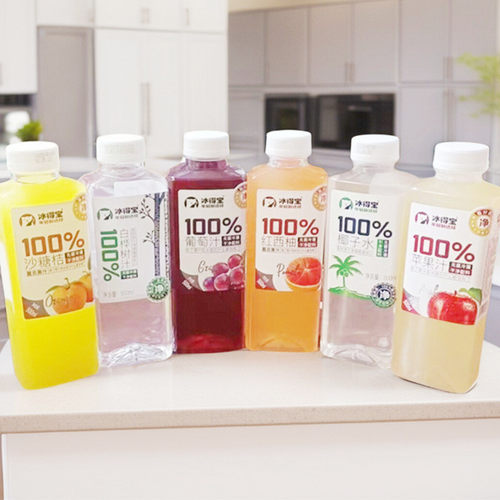 冰得宝椰子水白桦树汁葡萄500ml瓶装100%无添加果汁饮料干净配料