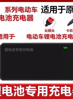 适用台铃电动车锂电池充电器星恒锂电48V2A54.6V3A正品云插头卡农