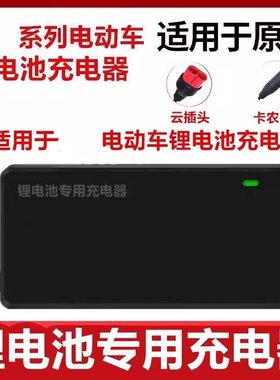 台铃电动车锂电池充电器