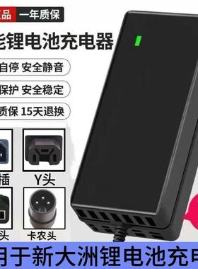 适用于新大洲电瓶车锂电池充电器48V2a3a4a小公插振特卡侬快充Y头