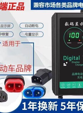 适用电动车原装正品国标72V四针