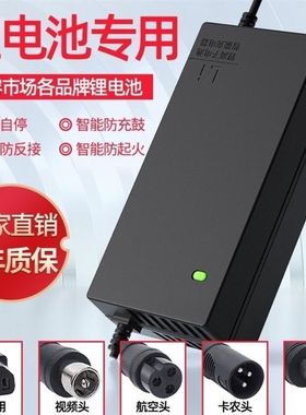 锂电池电动车充电器48V36V60V24V2A72V10A滑板车锂离子哈雷平衡车
