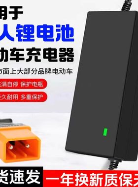 可人电动车锂电池充电器48V14AH16AH2A3A60V5A两孔圆针卡侬头全新
