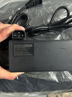 适用于新日新国标电动电瓶车正品锂电池充电器48V54.6V4A2A防触碰