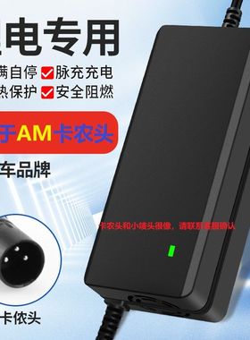 适用爱玛锂离子电动车电瓶车充电器48V12AH54.6V2A3A5A锂电池