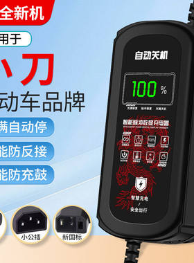 小刀电动车电瓶充电器48V12Ah60V