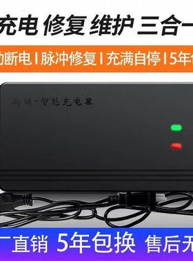 智能脉冲修复两轮三轮电动车电瓶车充电器36v48v60v72V爱玛通