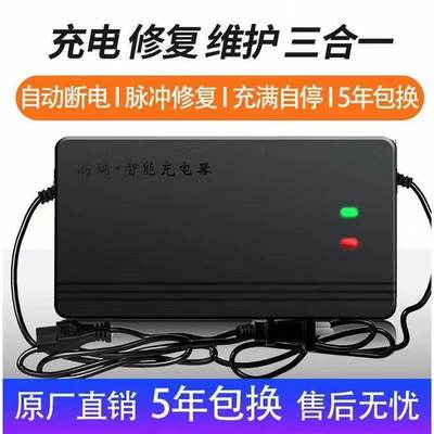 智能脉冲修复两轮三轮电动车电瓶车充电器36v48v60v72V爱玛通