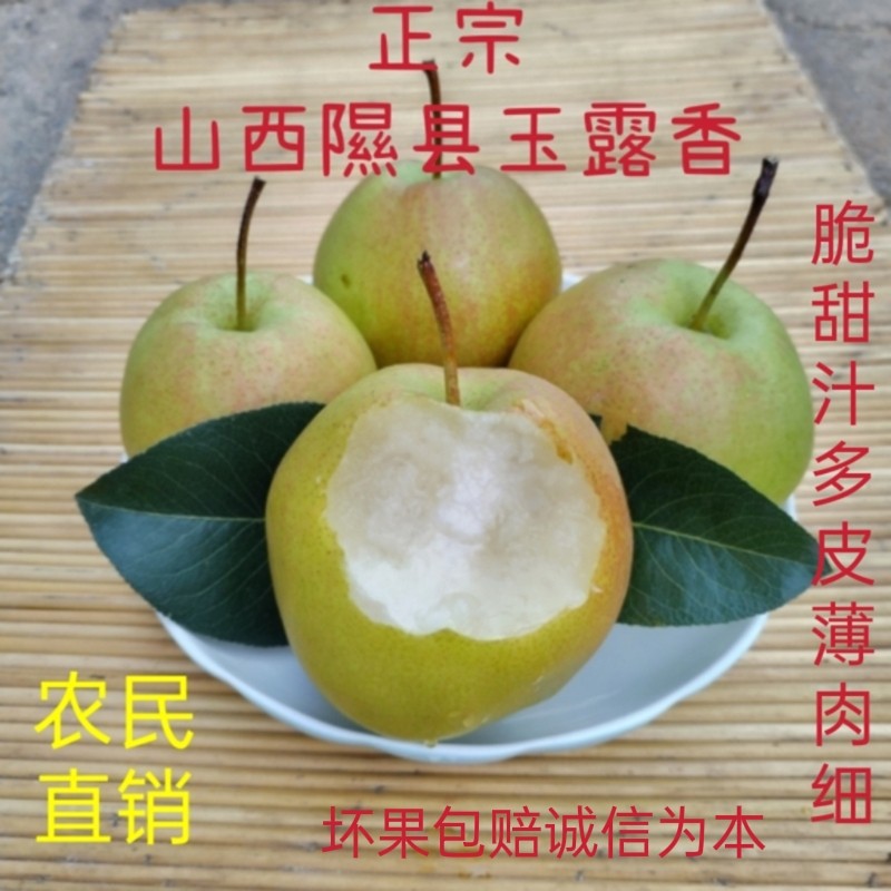 隰县玉露香梨皮薄肉细水大