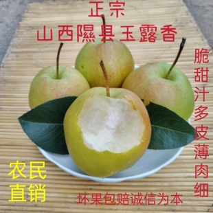 山西隰县玉露香梨皮薄肉细水大产地新鲜水果脆甜多汁无渣9斤包邮